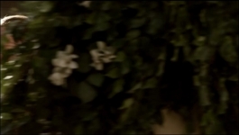 Game Of Thrones (Hindi) - Season 01 - Episode 04